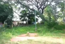 ರಾಮಕೃಷ್ಣ ನಂದನವನ ಇನ್ಮುಂದೆನಂದನವನವಲ್ಲ… ಪುಂಡರ ನಂದನವನ!
