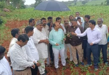 ರಾಜ್ಯದಾಡ್ಯಂತ್ತ ಬರಪೀಡಿತ ಪ್ರದೇಶಗಳಿಗೆ ಸಚಿವರ ಭೇಟಿ