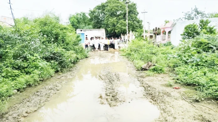 saidapur