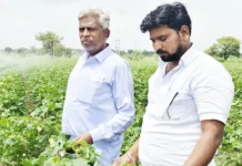 ಯಾದಗಿರಿ ಜಿಲ್ಲೆಯನ್ನು ಬರಪೀಡಿತವೆಂದು ಘೋಷಿಸಿ: ಉಮೇಶ ಕೆ. ಮುದ್ನಾಳ್ ಆಗ್ರಹ
