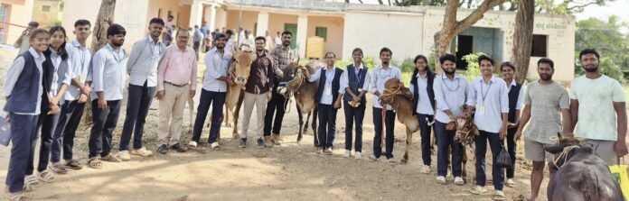 13_kolar-7