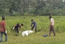 ದೆಹಲಿ: ಬಾಲಕಿ ಮೇಲೆ ಸಾಮೂಹಿಕ ಅತ್ಯಾಚಾರ, ಕೊಲೆ