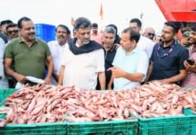ಬಂದರಿಗೆ ಸಿಎಂ ದಿಢೀರ್ ಭೇಟಿ: ಅಹವಾಲು ಆಲಿಕೆ