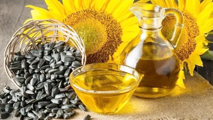 24sunflower