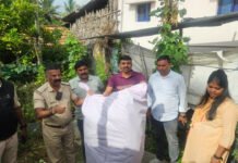 ತರೀಕೆರೆ ಪೊಲೀಸರ ಕಾರ್ಯಾಚರಣೆ: ೧೨.೨೫೦ ಗ್ರಾಂ ಹಸಿ ಗಾಂಜಾ ವಶ