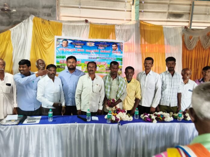 8_kolar-7