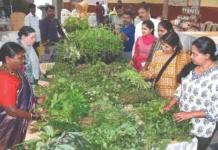 ನಾಳೆಯಿಂದ ಸೊಪ್ಪು ಮೇಳ