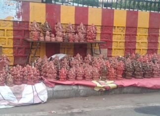 ನಗರದ ಐದು ನೂರಕ್ಕೂ ಹೆಚ್ಚು ಕಡೆ ಗಣೇಶ ಮೂರ್ತಿ ಪ್ರತಿಷ್ಟಾಪನೆ