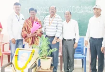 ಮನೆಗೊಂದು ಮರ ಊರಿಗೊಂದು ವನ : ದೊಡ್ಡಮನಿ