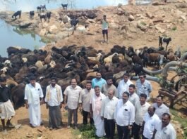 ಕೆರೆ ನೀರು ಪೋಲಾಗದಂತೆ ಕ್ರಮಕ್ಕೆ ಒತ್ತಾಯ