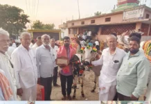 ಹ್ವಾಳಾ ಗಡಿಭಾಗದಲ್ಲಿ ಪೋಳಾ ಸಂಭ್ರಮದ ಉತ್ಸಾಹ