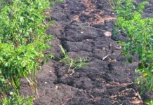 ಪರಿಹಾರ ನೀಡಲು ಆಗ್ರಹ