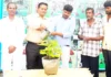 ಶಾಂತಿಯುತ ವಾತಾವರಣ ನಿರ್ಮಾಣ ಎಲ್ಲರ ಜವಾಬ್ದಾರಿ