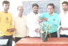 ರಾಷ್ಟ್ರದ ಆರ್ಥಿಕಾಭಿವೃದ್ಧಿಯಲ್ಲಿ ಕಡಲುಗಳ ಪಾತ್ರ ಅನನ್ಯ