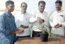 ಪರಿಸರ ಆರೋಗ್ಯ ಕಾಪಾಡುವುದು ಅಗತ್ಯ