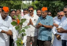 ಮರ ಕಡಿದ ಕೈಗಳಲ್ಲೇ ಹಸಿರು ಸಂಕಲ್ಪ: ೭೫ ಸಸಿಗಳ ನೆಡುವಿಕೆ