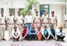 ಅರಣ್ಯದಲ್ಲಿ ಬೇಟೆ: ನಾಡಬಂದೂಕುಗಳ ಸಮೇತ 7 ಮಂದಿ ಸೆರೆ