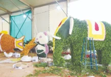 ತುಮಕೂರು ದಸರಾ ಉದ್ಘಾಟನೆಗೆ ಕ್ಷಣಗಣನೆ