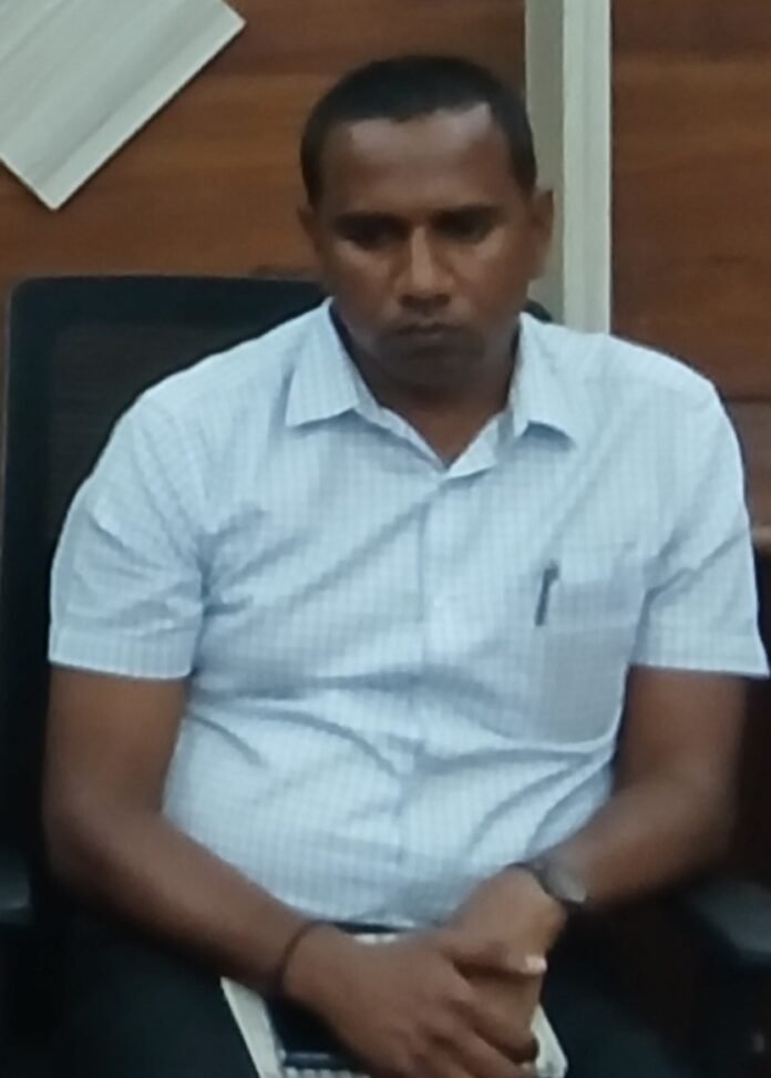 13malur-2