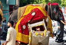 ದೇಶಾದ್ಯಂತ ಚರ್ಚೆಯಾಗುತ್ತಿರುವ ಶಿವಮೊಗ್ಗ ಜಂಬೂ ಸವಾರಿ ಪ್ರಕರಣ