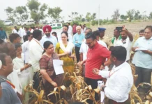 ವಿಜಯನಗರದಲ್ಲಿ ಕೇಂದ್ರ ಬರ ಅಧ್ಯಯನ ತಂಡ ಪರಿಶೀಲನೆ