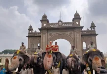ಅರಮನೆ ಆವರಣ ಪ್ರವೇಶಿಸಿದ ’ಕ್ಯಾಪ್ಟನ್’ ಅಭಿಮನ್ಯು