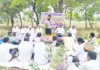 ಸೂರ್ಯಕಾಂತಿ ಬೆಳೆ ಕ್ಷೇತ್ರೋತ್ಸವ