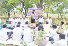 ಸೂರ್ಯಕಾಂತಿ ಬೆಳೆ ಕ್ಷೇತ್ರೋತ್ಸವ